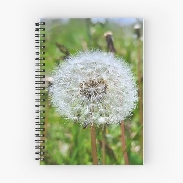 Item preview, Perfect Dandelion – Botanical Macro Photography designed and sold by MSMPrintDesign.