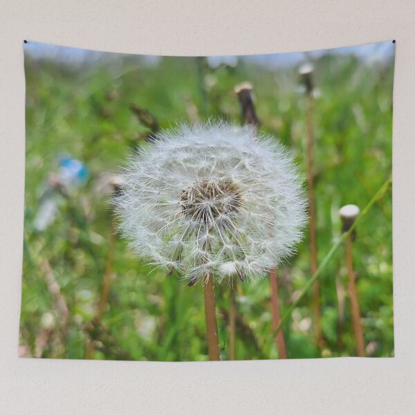 Item preview, Perfect Dandelion – Botanical Macro Photography designed and sold by MSMPrintDesign.