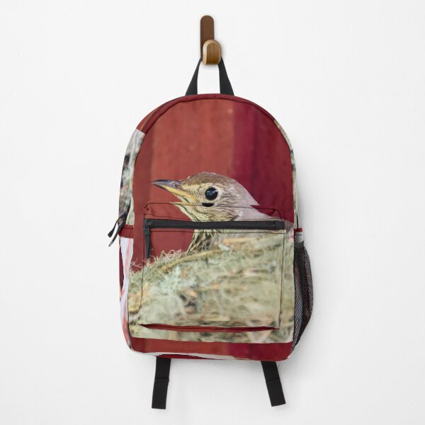 Item preview, Nesting Song Thrush. Spring 2026 designed and sold by Jouko Lehto Photography.