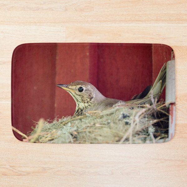 Item preview, Nesting Song Thrush. Spring 2026 designed and sold by Jouko Lehto Photography.