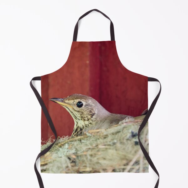 Item preview, Nesting Song Thrush. Spring 2026 designed and sold by Jouko Lehto Photography.