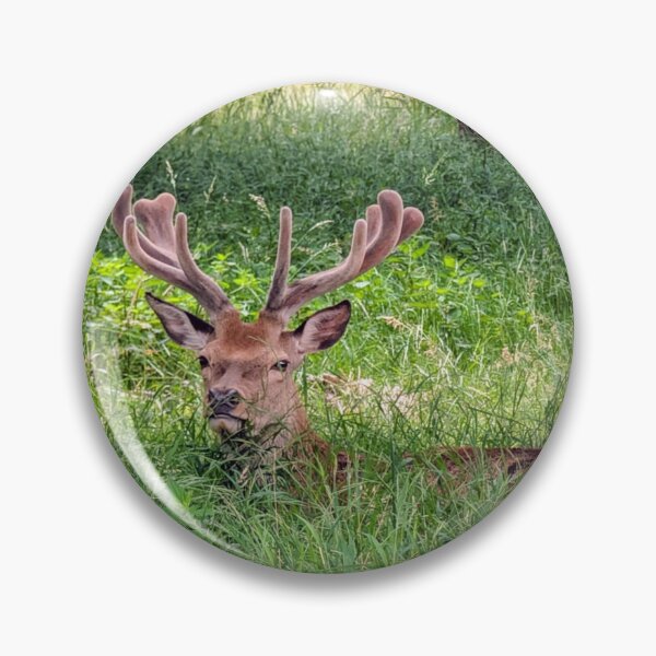 Item preview, Resting Stag in Summer Meadow designed and sold by Miles&Moments.