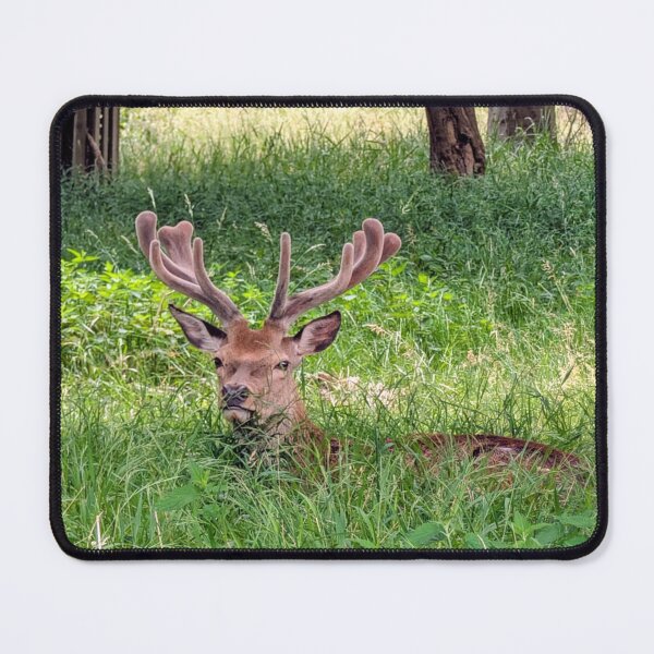 Item preview, Resting Stag in Summer Meadow designed and sold by Miles&Moments.