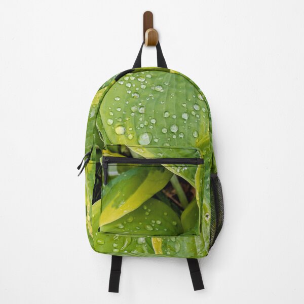 Item preview, Rain Droplets on Green Hosta Leaves designed and sold by Miles&Moments.