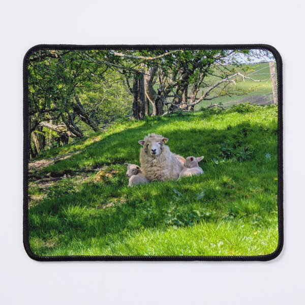 Item preview, Peaceful Sheep Family in Spring designed and sold by Miles&Moments.