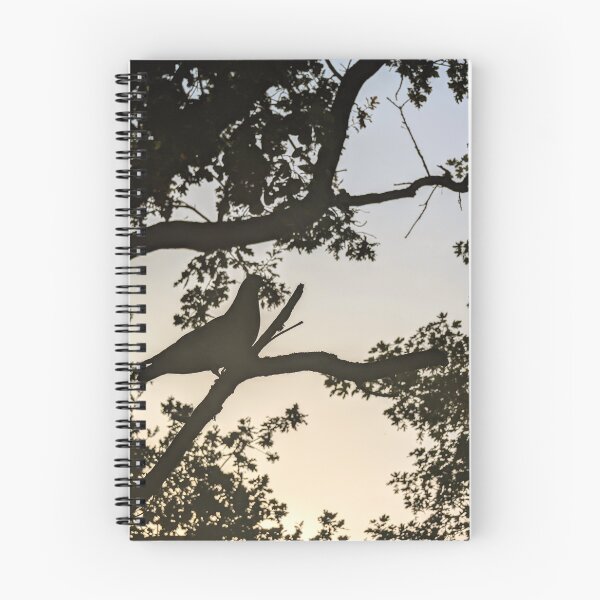 Item preview, Wood Pigeon at Sunset Silhouette designed and sold by Miles&Moments.