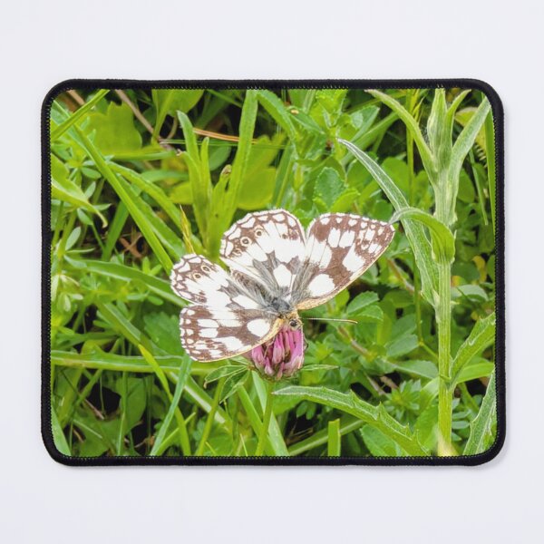 Item preview, Butterfly on Clover designed and sold by Miles&Moments.