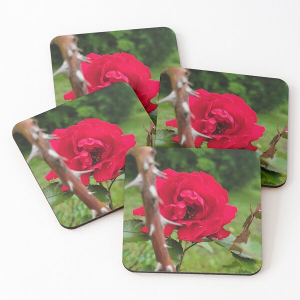 Item preview, Amor con espinas designed and sold by Lunar Bound Imagery .