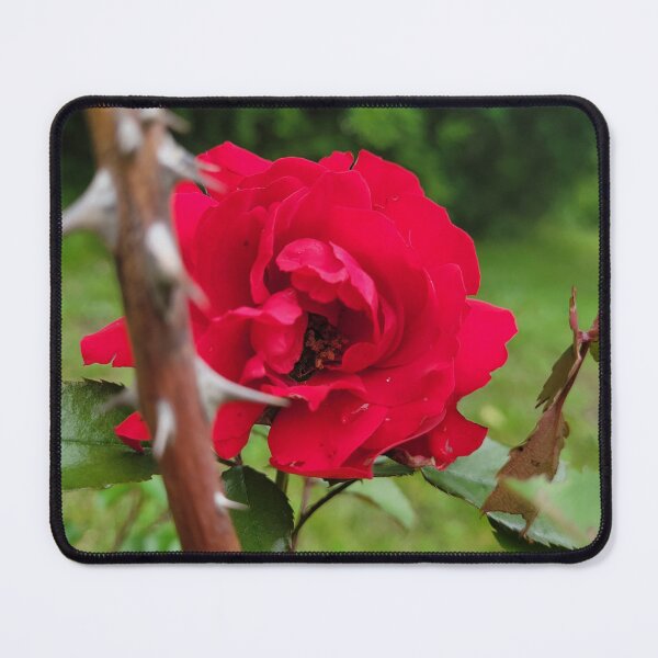 Item preview, Love with thorns designed and sold by Lunar Bound Imagery .