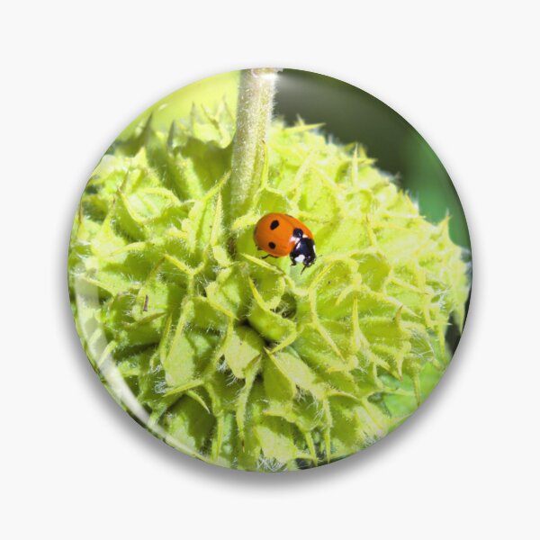 Item preview, Ladybird on green plant photograph designed and sold by Natimo-Studio.