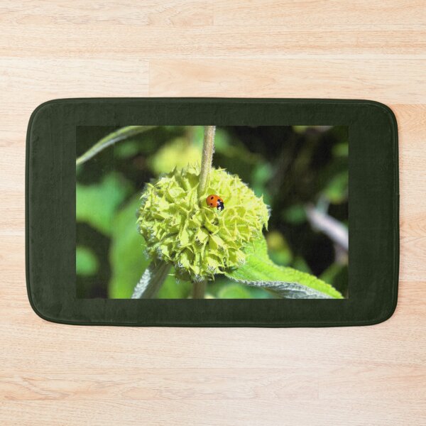 Item preview, Ladybird on green plant photograph designed and sold by Natimo-Studio.