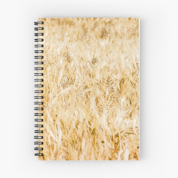 Item preview, Golden Wheat Field of Barley and Grain Ready for Harvest in Rural Summer Landscape designed and sold by Nmallia.