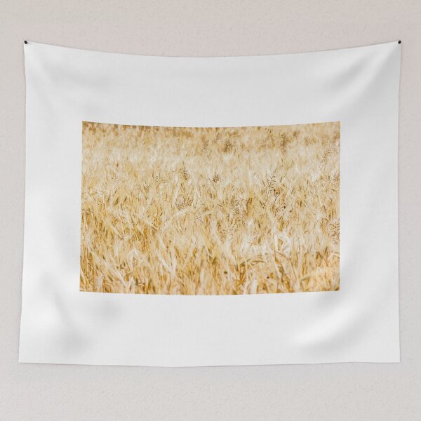 Item preview, Golden Wheat Field of Barley and Grain Ready for Harvest in Rural Summer Landscape designed and sold by Nmallia.