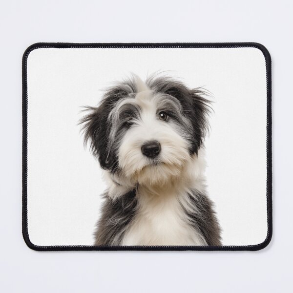 Item preview, Adorable Polish Lowland Sheepdog pup for Cute PON puppy lovers designed and sold by LazyOwlStore.