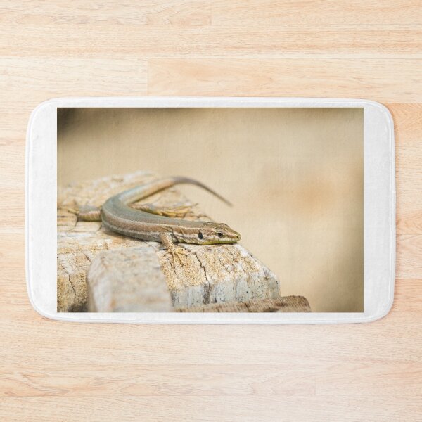 Item preview, Brown Lizard Sunbathing on Weathered Wood Log in Warm Natural Habitat designed and sold by Nmallia.