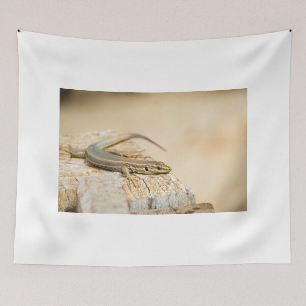 Item preview, Brown Lizard Sunbathing on Weathered Wood Log in Warm Natural Habitat designed and sold by Nmallia.
