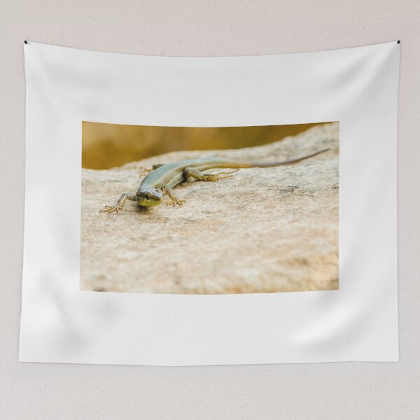 Item preview, Brown Lizard Sunbathing on Weathered Wood Log in Warm Natural Habitat designed and sold by Nmallia.