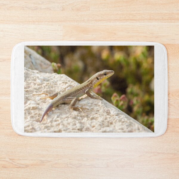 Item preview, Brown Lizard Sunbathing on Weathered Wood Log in Warm Natural Habitat designed and sold by Nmallia.