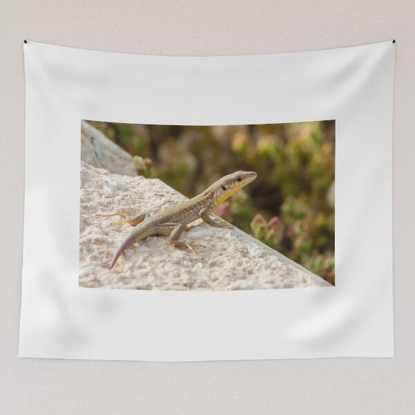 Item preview, Brown Lizard Sunbathing on Weathered Wood Log in Warm Natural Habitat designed and sold by Nmallia.