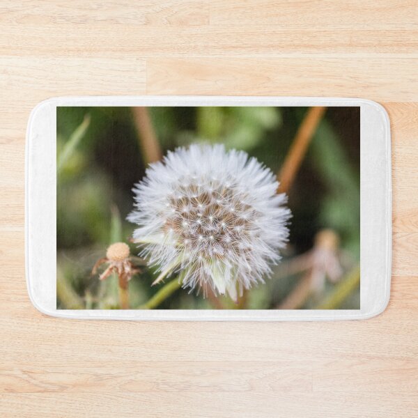 Item preview, Close-Up Macro Of Dandelion Seed Head With Delicate White Fluff And Blurred Green Background designed and sold by Nmallia.