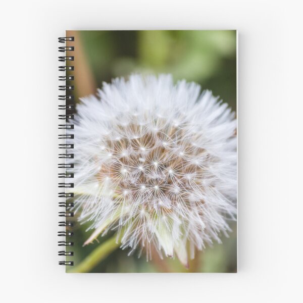 Item preview, Close-Up Macro Of Dandelion Seed Head With Delicate White Fluff And Blurred Green Background designed and sold by Nmallia.