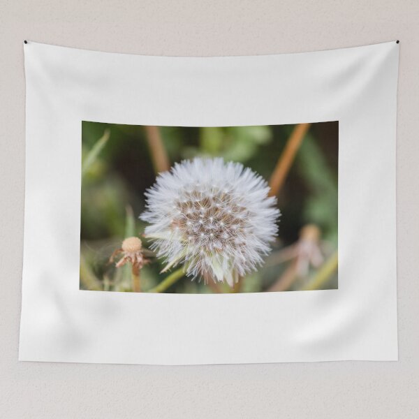 Item preview, Close-Up Macro Of Dandelion Seed Head With Delicate White Fluff And Blurred Green Background designed and sold by Nmallia.
