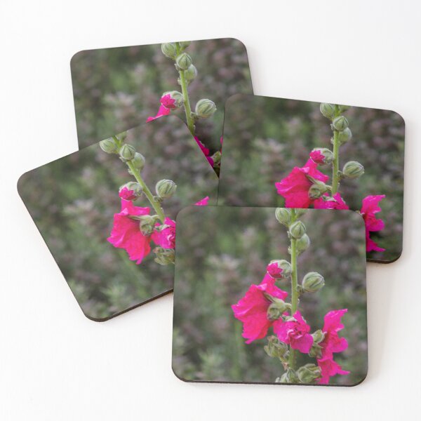 Item preview, Pink Hollyhock Flower Blooming On Tall Stem In Garden Closeup With Green Bokeh Background designed and sold by Nmallia.