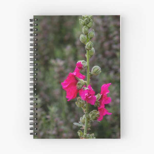 Item preview, Pink Hollyhock Flower Blooming On Tall Stem In Garden Closeup With Green Bokeh Background designed and sold by Nmallia.