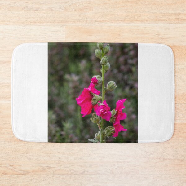 Item preview, Pink Hollyhock Flower Blooming On Tall Stem In Garden Closeup With Green Bokeh Background designed and sold by Nmallia.
