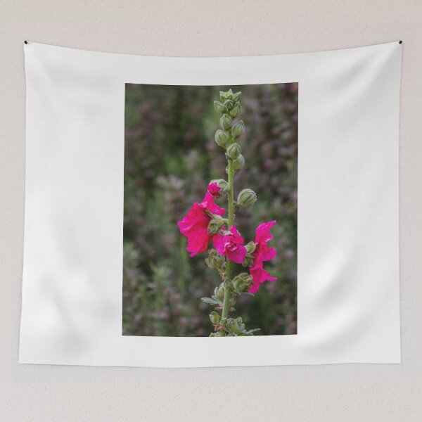Item preview, Pink Hollyhock Flower Blooming On Tall Stem In Garden Closeup With Green Bokeh Background designed and sold by Nmallia.
