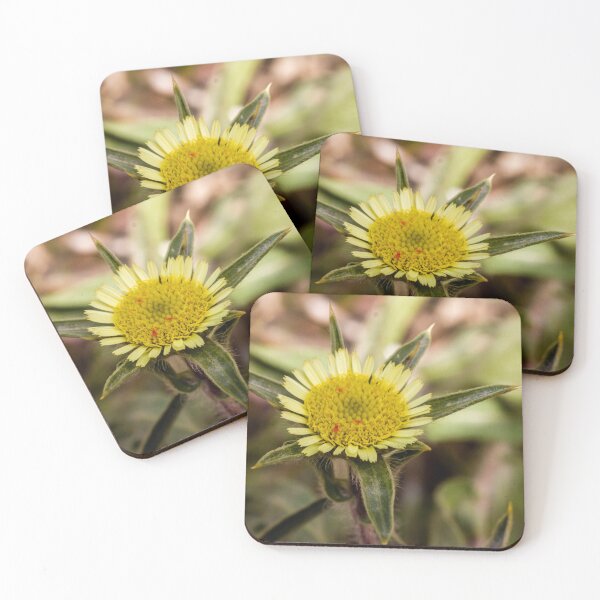 Item preview, Close-Up Yellow Wildflower Macro With Textured Central Disk And Green Bracts In Nature designed and sold by Nmallia.