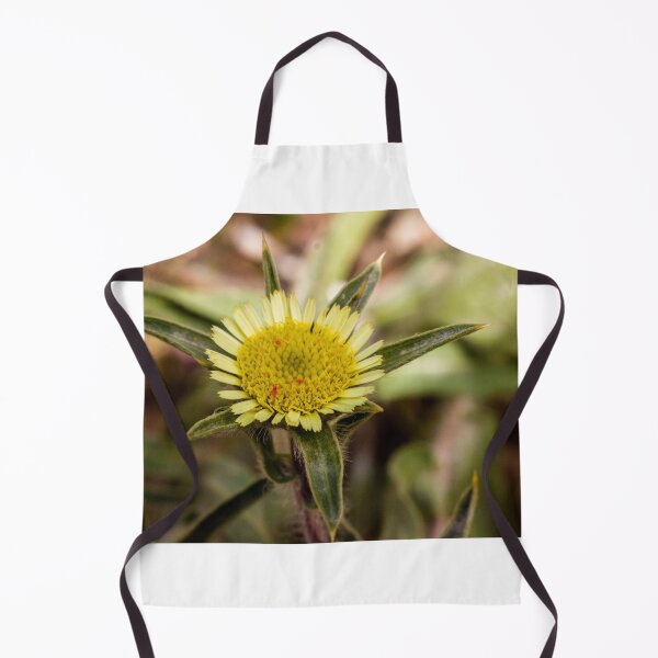 Item preview, Close-Up Yellow Wildflower Macro With Textured Central Disk And Green Bracts In Nature designed and sold by Nmallia.