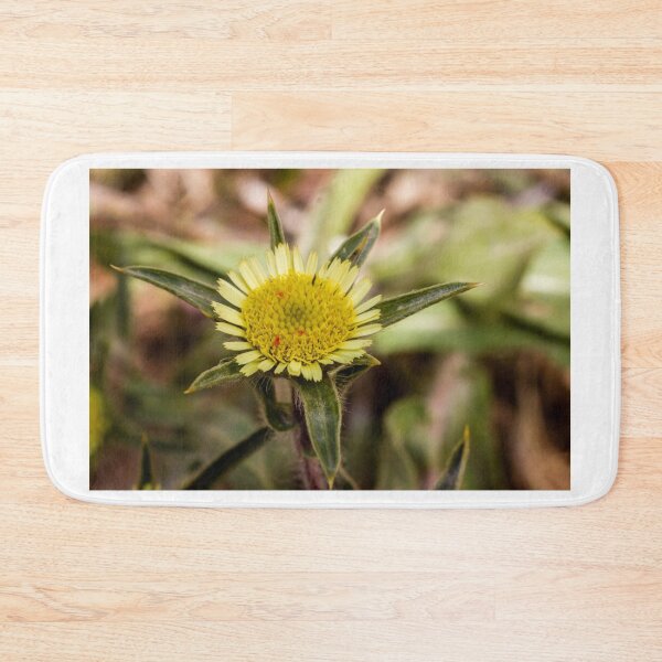 Item preview, Close-Up Yellow Wildflower Macro With Textured Central Disk And Green Bracts In Nature designed and sold by Nmallia.