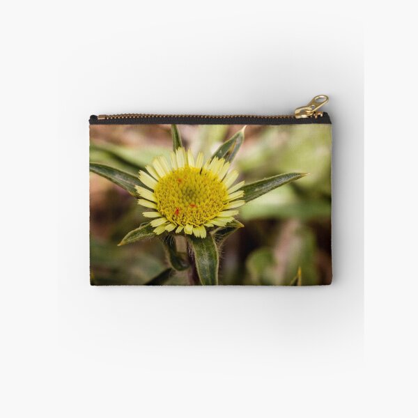Item preview, Close-Up Yellow Wildflower Macro With Textured Central Disk And Green Bracts In Nature designed and sold by Nmallia.