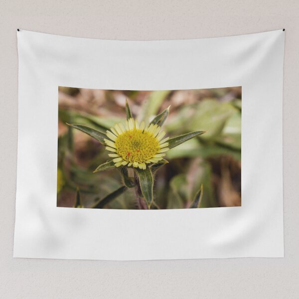 Item preview, Close-Up Yellow Wildflower Macro With Textured Central Disk And Green Bracts In Nature designed and sold by Nmallia.