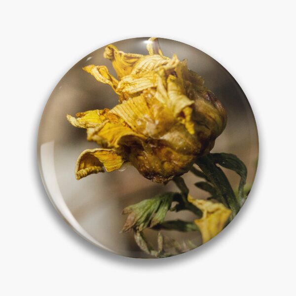 Item preview, Wilting Yellow Wildflower Macro Close-Up Showing Dried Petals and Autumn Decay in Nature designed and sold by Nmallia.