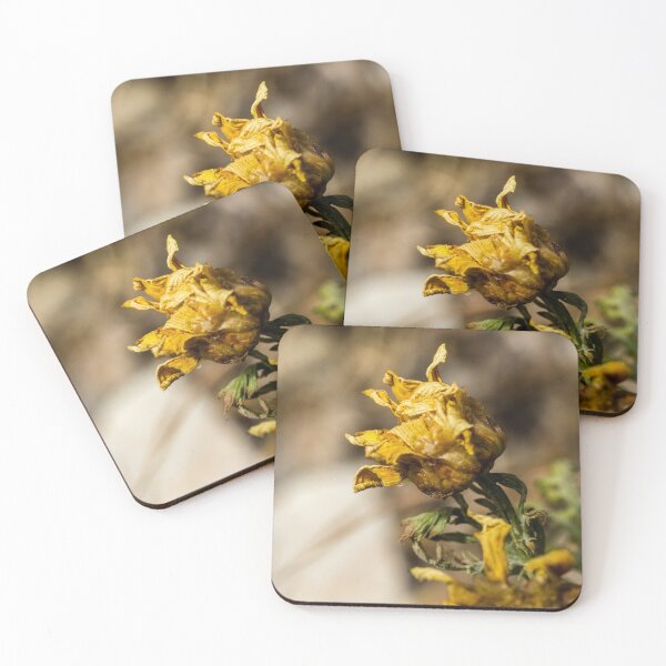 Item preview, Wilting Yellow Wildflower Macro Close-Up Showing Dried Petals and Autumn Decay in Nature designed and sold by Nmallia.