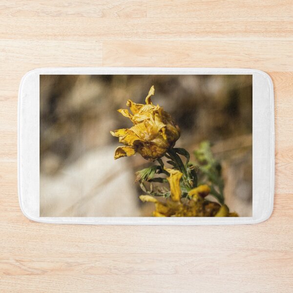 Item preview, Wilting Yellow Wildflower Macro Close-Up Showing Dried Petals and Autumn Decay in Nature designed and sold by Nmallia.