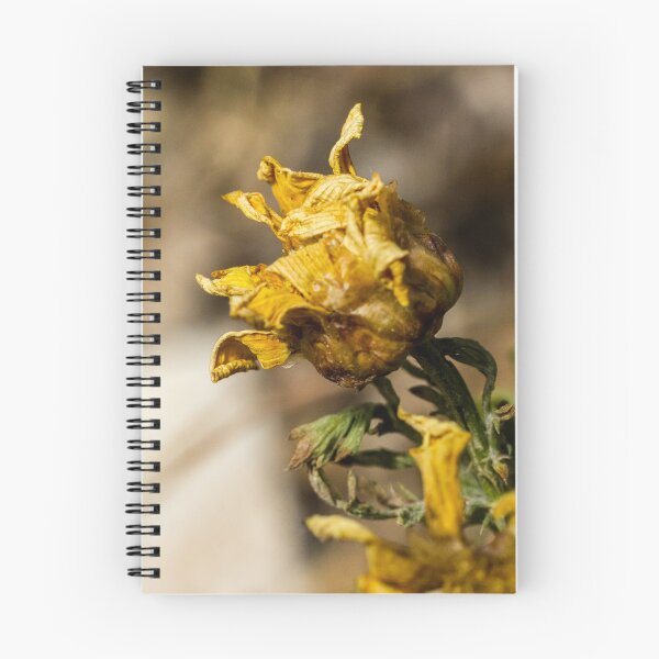 Item preview, Wilting Yellow Wildflower Macro Close-Up Showing Dried Petals and Autumn Decay in Nature designed and sold by Nmallia.