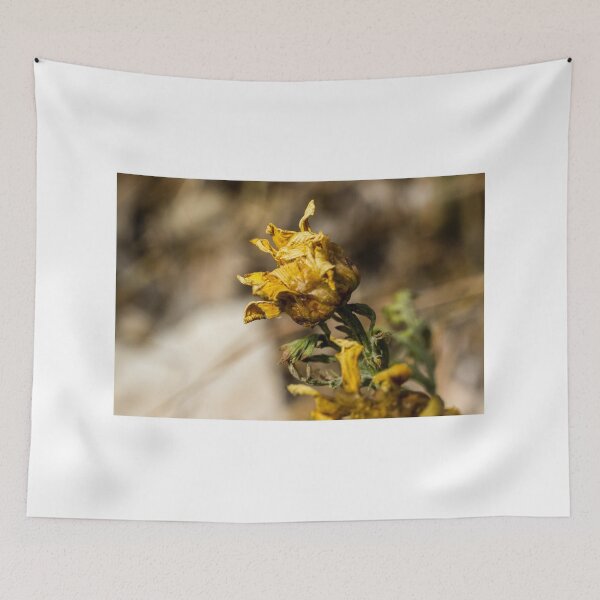 Item preview, Wilting Yellow Wildflower Macro Close-Up Showing Dried Petals and Autumn Decay in Nature designed and sold by Nmallia.