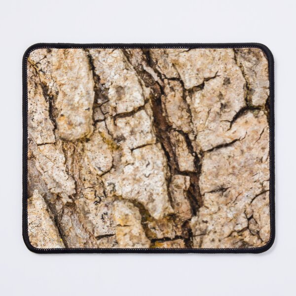 Item preview, Close-Up Of Rough Tree Bark Texture On Weathered Trunk Natural Wood Surface Macro Detail Background designed and sold by Nmallia.