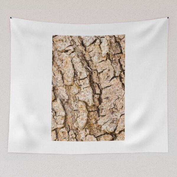 Item preview, Close-Up Of Rough Tree Bark Texture On Weathered Trunk Natural Wood Surface Macro Detail Background designed and sold by Nmallia.