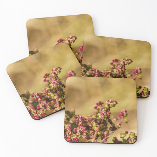 Item preview, Close-Up Of Wild Plant Buds With Pink Flowers And Green Stems In Soft Bokeh Background designed and sold by Nmallia.