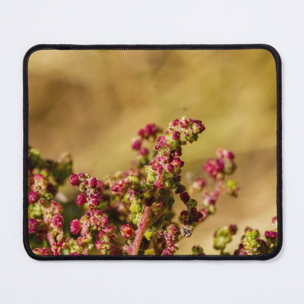 Item preview, Close-Up Of Wild Plant Buds With Pink Flowers And Green Stems In Soft Bokeh Background designed and sold by Nmallia.