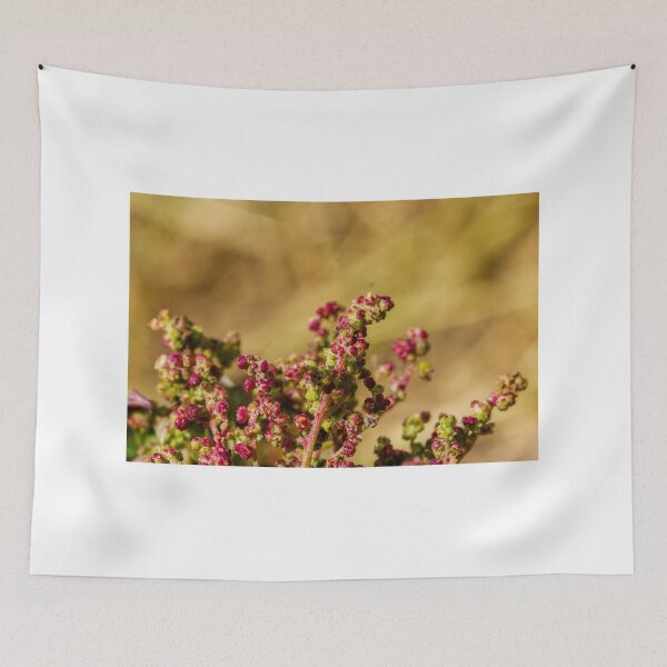 Item preview, Close-Up Of Wild Plant Buds With Pink Flowers And Green Stems In Soft Bokeh Background designed and sold by Nmallia.