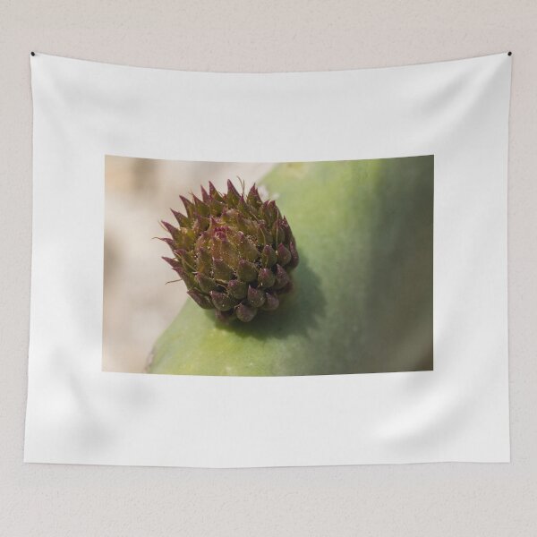 Item preview, Macro Close-Up Of A Cactus Bud On A Green Succulent Pad With Purple Tipped Growth designed and sold by Nmallia.
