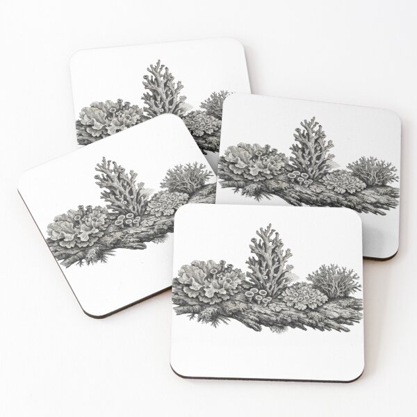 Item preview, T-Shirt - Sticker - Intricate Lichen Diversity Study designed and sold by ForeverPrintsOK.