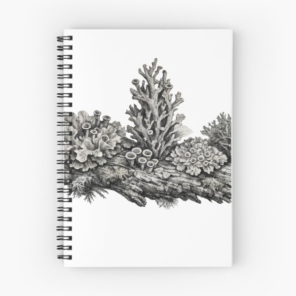 Item preview, T-Shirt - Sticker - Intricate Lichen Diversity Study designed and sold by ForeverPrintsOK.