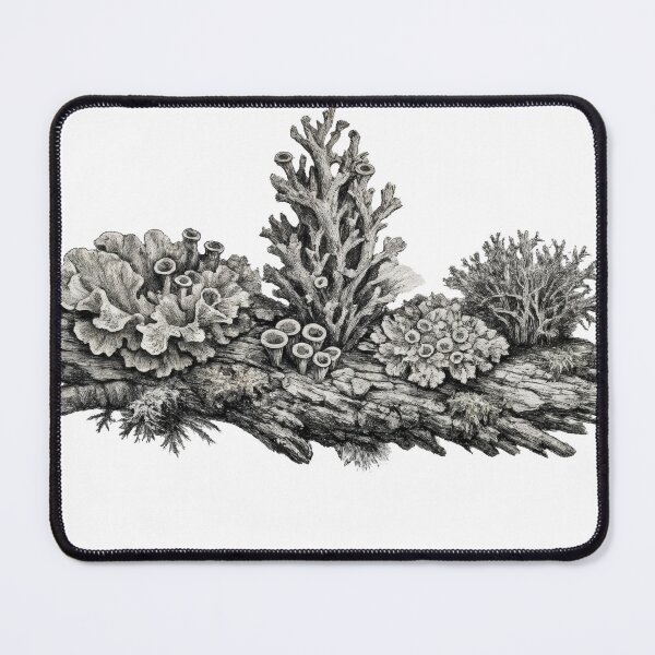 Item preview, T-Shirt - Sticker - Intricate Lichen Diversity Study designed and sold by ForeverPrintsOK.