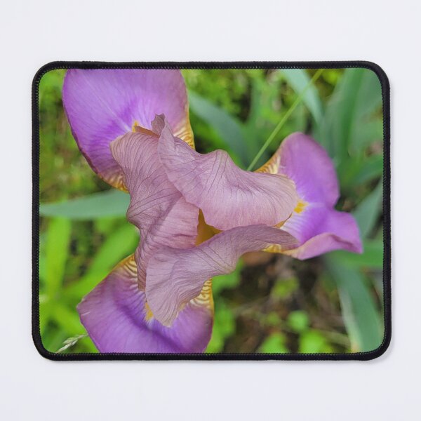 Item preview, Sky View designed and sold by Lunar Bound Imagery .